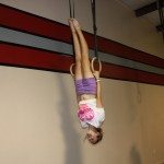 IMG_6103 IMG_6103